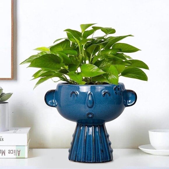 NEW 7 Inch Cute Face Planter for Indoor Outdoor Plants Ceramic Succulent Pot - Picture 5 of 10